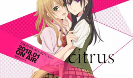 柑橘味香气动漫,探寻柑橘味香气的动漫世界
